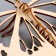 3D puzzle "Young genius": collect a butterfly