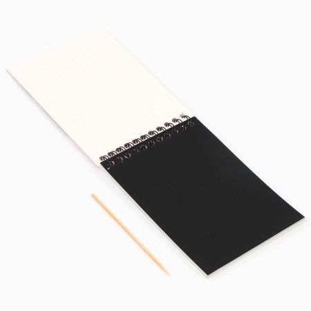 Capybara notebook grave, 10 sheets, sheet of stickers, Stikhel, A6 format 10340809-3