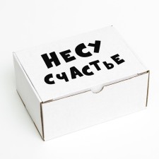 Self -assembly box 
