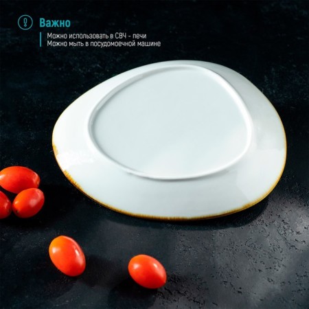 Porcelain dish for feeding Magistro "Cerera", 21 × 18.7 cm, blue color-5