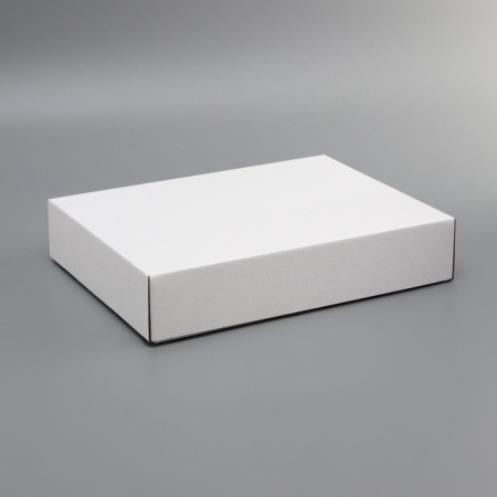 Box the team, without printing, lid is "white" without a window 29 x 23.5 x 6 cm
