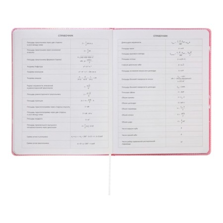 Universal diary for the 1-11 grade Forget Trubles, solid cover, artificial leather, silkography, lies, 80 g/m2-9