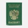Cover for passport, green color