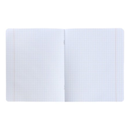Notebook of 12 sheets in the Grimace cage, cover coated cardboard, VD-LK, MIX-1