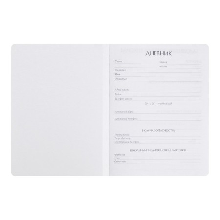 Universal diary for grades 1-11, 48 Velvet sheets, hard cover, artificial leather, thermoting, lies, block 70 g/m2, pink-2
