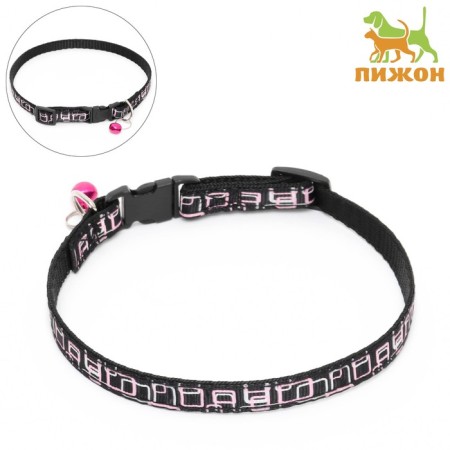 The two -layer collar with the Fastex "Squares", 30 x 1 cm, black