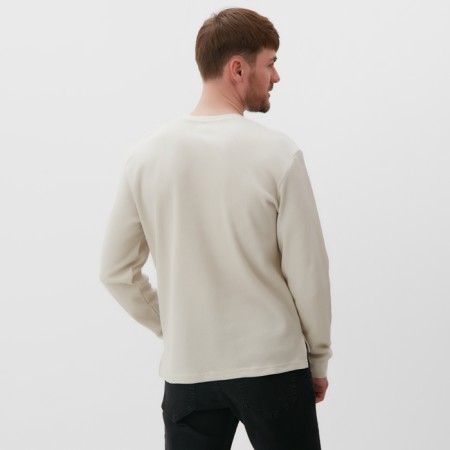 Jumper male Mist Men’s Classic, p. 48, beige-3