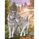 Diamond mosaic with a complete filling on the wolves subframe, 30 x 40 cm