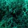 Moss stabilized "sea wave" mix 45 gr (+-5 gr)