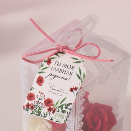 Set gift "Bear in the dress" soap red roses 5 pcs, dew 7x7x12 cm-4