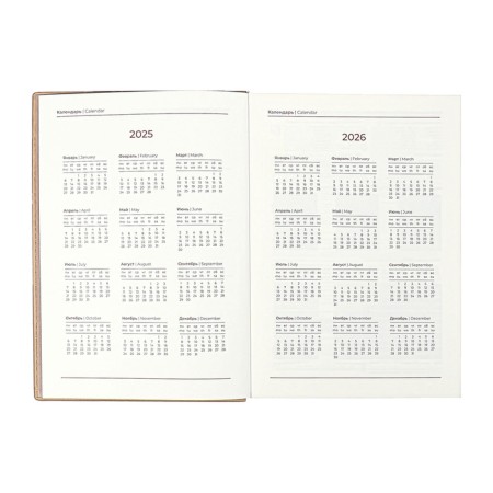 Dated 2025 diary, Escalada, A5+ 176 sheets, integral cover, artificial leather, foil embroidery, lies, block 80 g/m2, beige-7