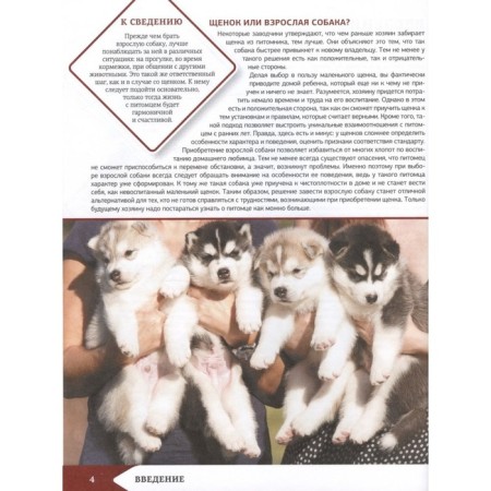 The best illustrated encyclopedia. Dogs-3