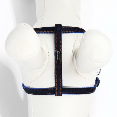 Kit "jeans", leash 120 x 1 cm, og 25-40 cm, blue-6