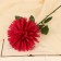 Artificial flowers "Astra Sphere" 12x60 cm, burgundy