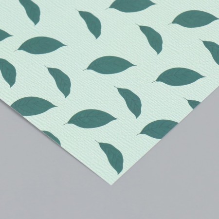 Scrapbooking paper "Avocado leaves" density 180 grams set 10 pcs 15.5x17 cm-3