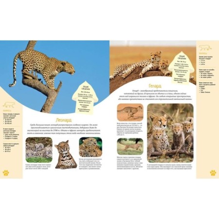 Encyclopedia. The colorful world of animals-6
