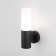 Lamp wall street Elektrostandard, GLAS, 125x64x255 mm, E27, black color