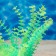 The artificial aquarium, luminous plant, 18 cm, green