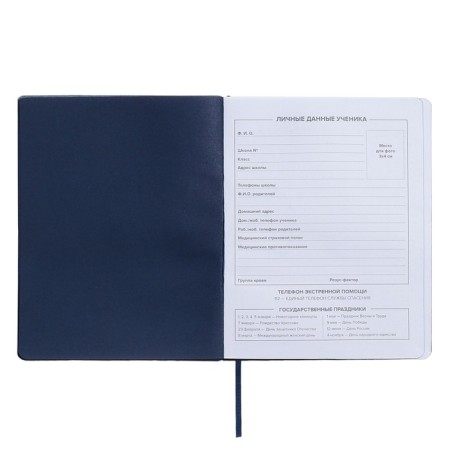 School diary for grades 1-11, 70/30 %, firm covering with foam, artificial leather, silkography, liesse, universal cheat sheet, 48 sheets, block 80g/m2-4
