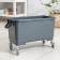 A plastic bucket for washing windows on wheels, 24 liters, 56 × 29 × 34 cm