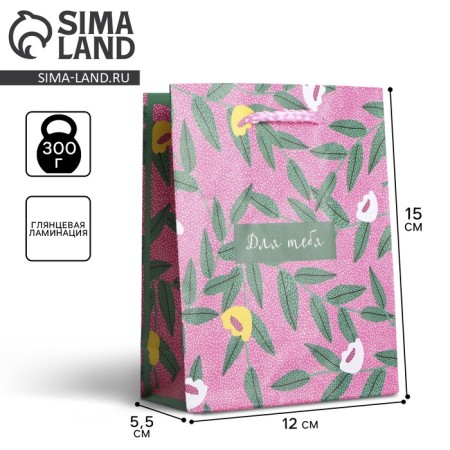 Gift laminated package, packaging, for you, S 12 x 15 x 5.5 cm