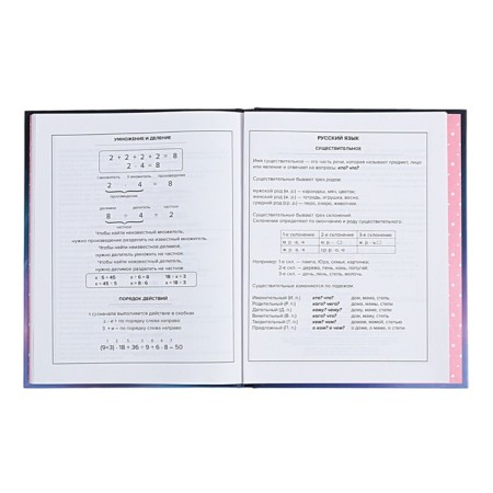 Diary Artificial leather grade 1-11, 48 sheets, cage, integral cover "cat", covered cardboard, matte lamination, selective UV-lame, universal cheat sheet, block 65 g/m2-11