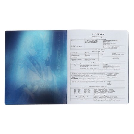 Subject notebook, 48 sheets, ruler, Russian language, Erichkrause "Manga", cardboard cover of Twin-lax, block offset 100%, information block-2