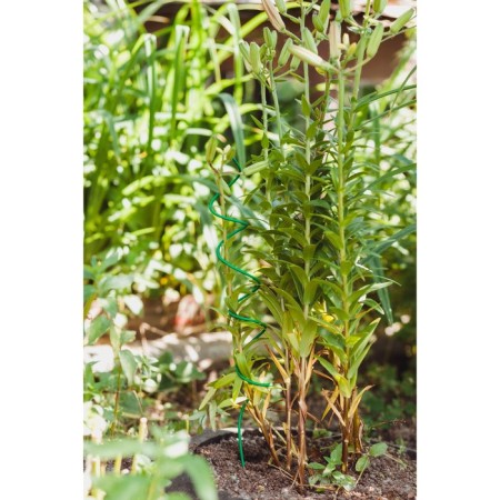 Builder for flowers, d = 5 cm, h = 60 cm, metal, green, "spiral"-1