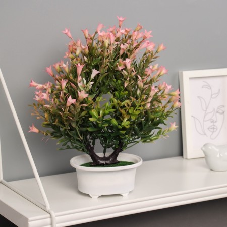Bonsai in the Liliana Premium pot 25x12 cm, mix-3