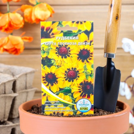 Flowers of Rudbeckia "Hirta Gloriosa Daisy", 0.1 g