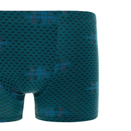 Panties men's panties, color mix, size 50-52-6
