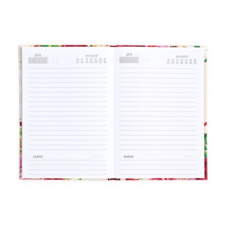 Gift set "Dear Teacher": A5 Diary, 80 L, Medal-2