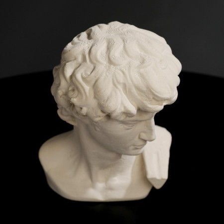 Gypsum figure "head of David" 8 x 12.5, white-1
