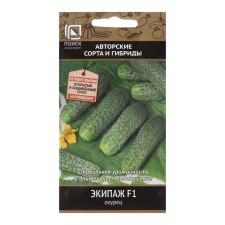Cucumber seeds 