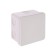 Distribution box Luazon Lighting, 80x80x50 mm, IP54, for open installation