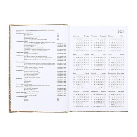 Dated diary 2025, A5 168 sheets, Attomex. Arkona, solid cover, boumvinyl with foam, liesse, block 70, gold-7