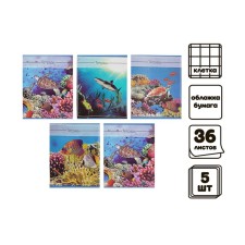 A set of notebooks of 5 pieces (4 different + 1 repeating), 36 sheets in the Calligrata Ocean cell, covered paper cover, block No. 2, whiteness 75% (gray sheets)
