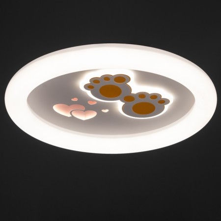 Luer with PDD "Paws" LED 120W 3000-6000K white 50x50x9 cm-2