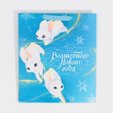 Laminated vertical "Stars" packet, M 26 x 30 x 9 cm, New Year-5