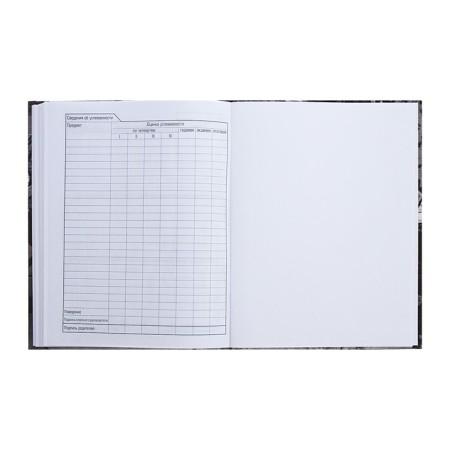 Universal diary for grades 1-11 Selena and Wolf, solid cover, matte lamination, 40 sheets-7