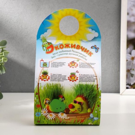 Growing gift Eco -Zhizhivchik "Domovaya" mix-10