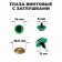 Rifle eyes with plugs, “sparkles” set of 18 pcs, size 1 pc: 2.4 cm, green color