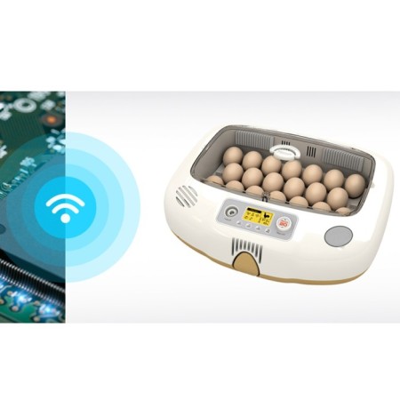 Incubator, 20 eggs, automatic coup, 65 V, with ovoscope, rcom-7