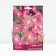 Astra Novobelgi Crimson Brock, Rr. I, 1 pc, spring 2025