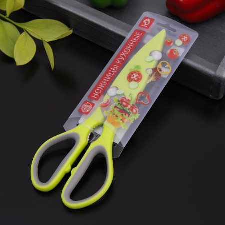 Scissors kitchen shares "Sport", 22 cm, color mix-4