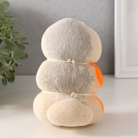 Growing gift Eco -Zhizhivchik "Snake Pyatnaya" Orange-2