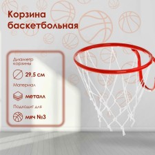 Basketball basket No. 3, d = 295 mm, with a net