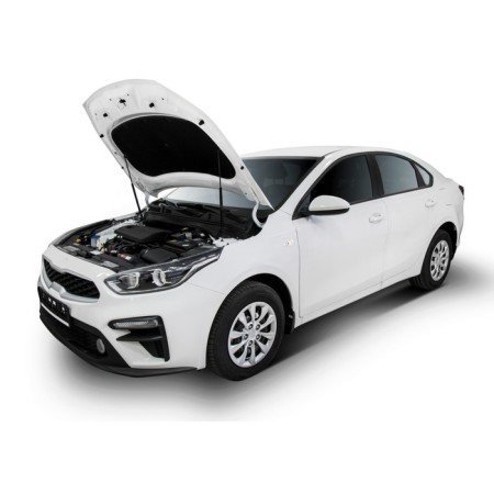Copot shock absorbers "Avtouple", Kia Cerato 2018-n., 2 pcs., Ukicer021-1