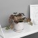 Bonsai in the pot "Filodendron Sello ultra" (soft sheet) 15x7 cm, mix