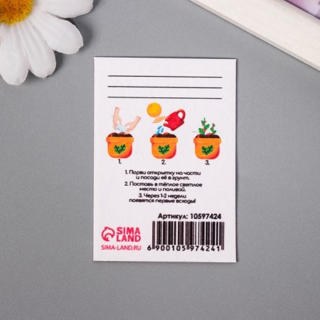 Set of postcards with seeds "grow itself" "Joy" 5*7cm-3